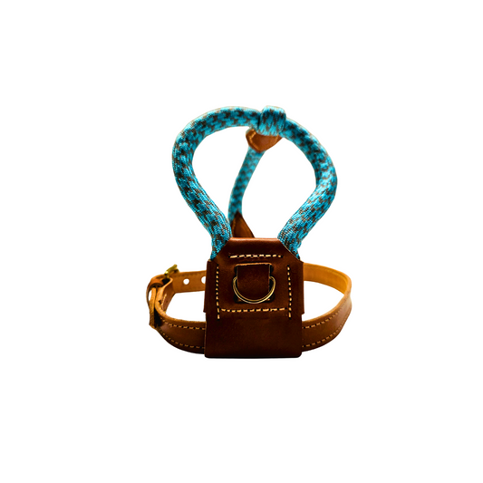 Arnes cordon y cuero para perro en color turquesa y marron