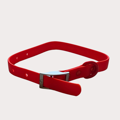 Collar Acuadog Rojo