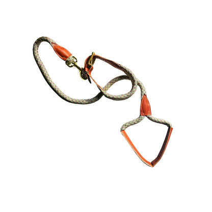 Correa y collar de perro en cuero y cuerda en Multicolor. Flechazo