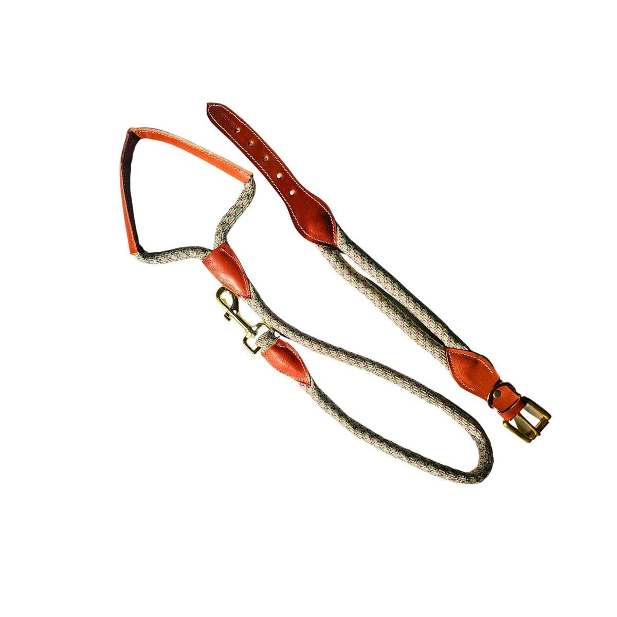 Correa y collar de perro en cuero y cuerda en Multicolor. Flechazo