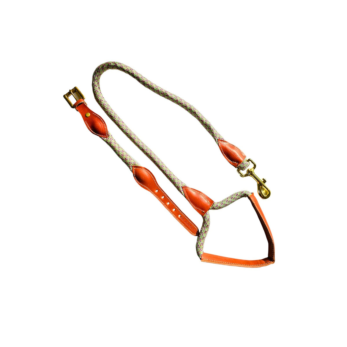 Correa y collar de perro en cuero y cuerda en Multicolor. Flechazo