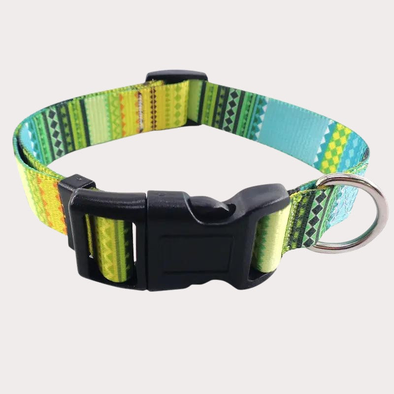 Collar Florymetric