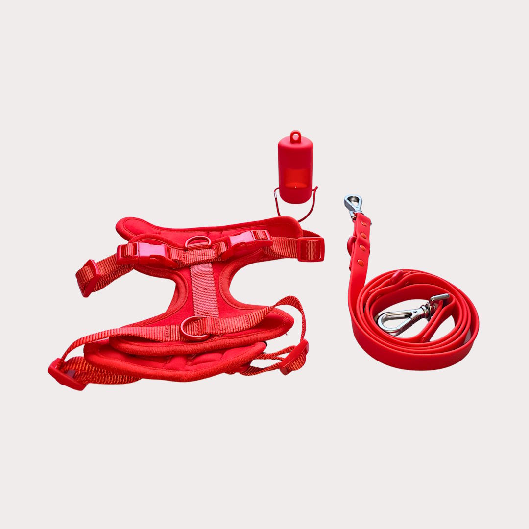 Conjunto arnés Acuadog rojo