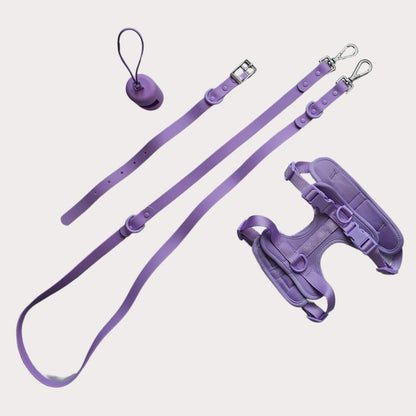 Conjunto Acuadog violeta total